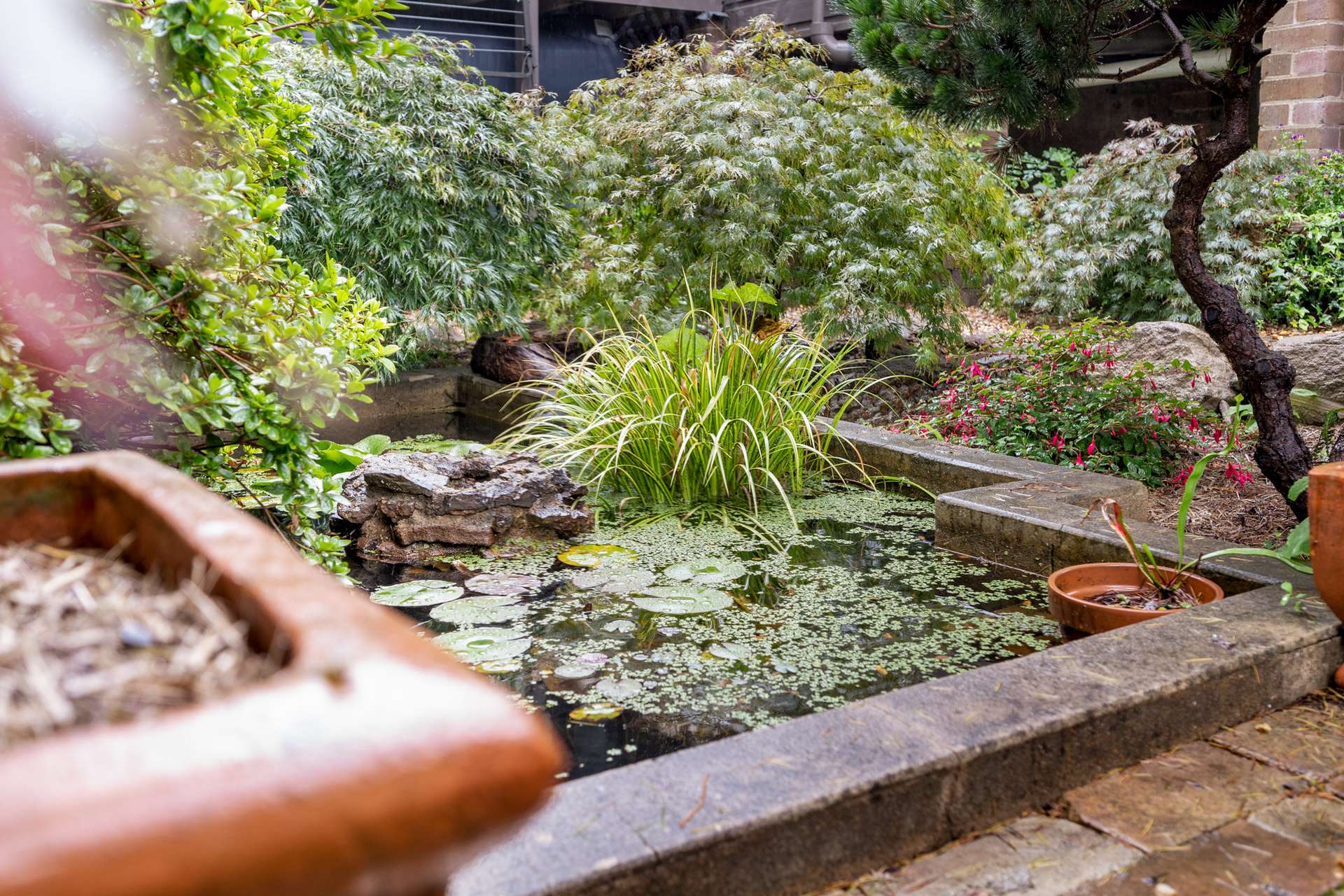 24 Malvern Road, Leura, NSW 2780 AUS