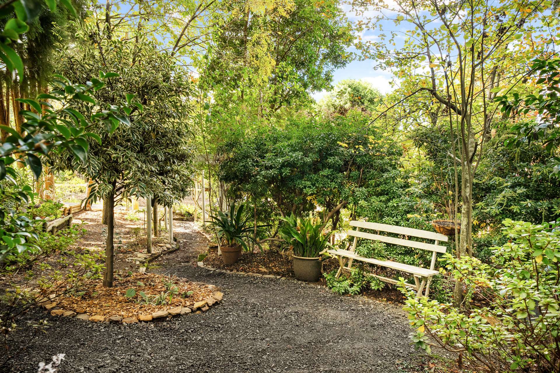 19 Cascade Street, Wentworth Falls, NSW 2782 AUS