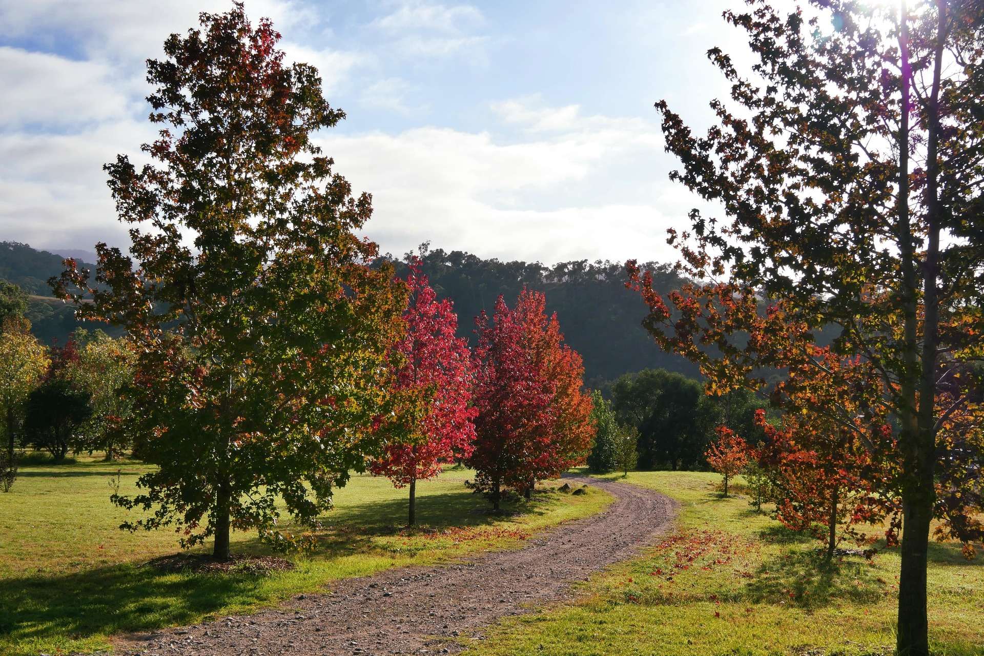 545 Mckanes Falls Road, Hartley, NSW 2790 AUS