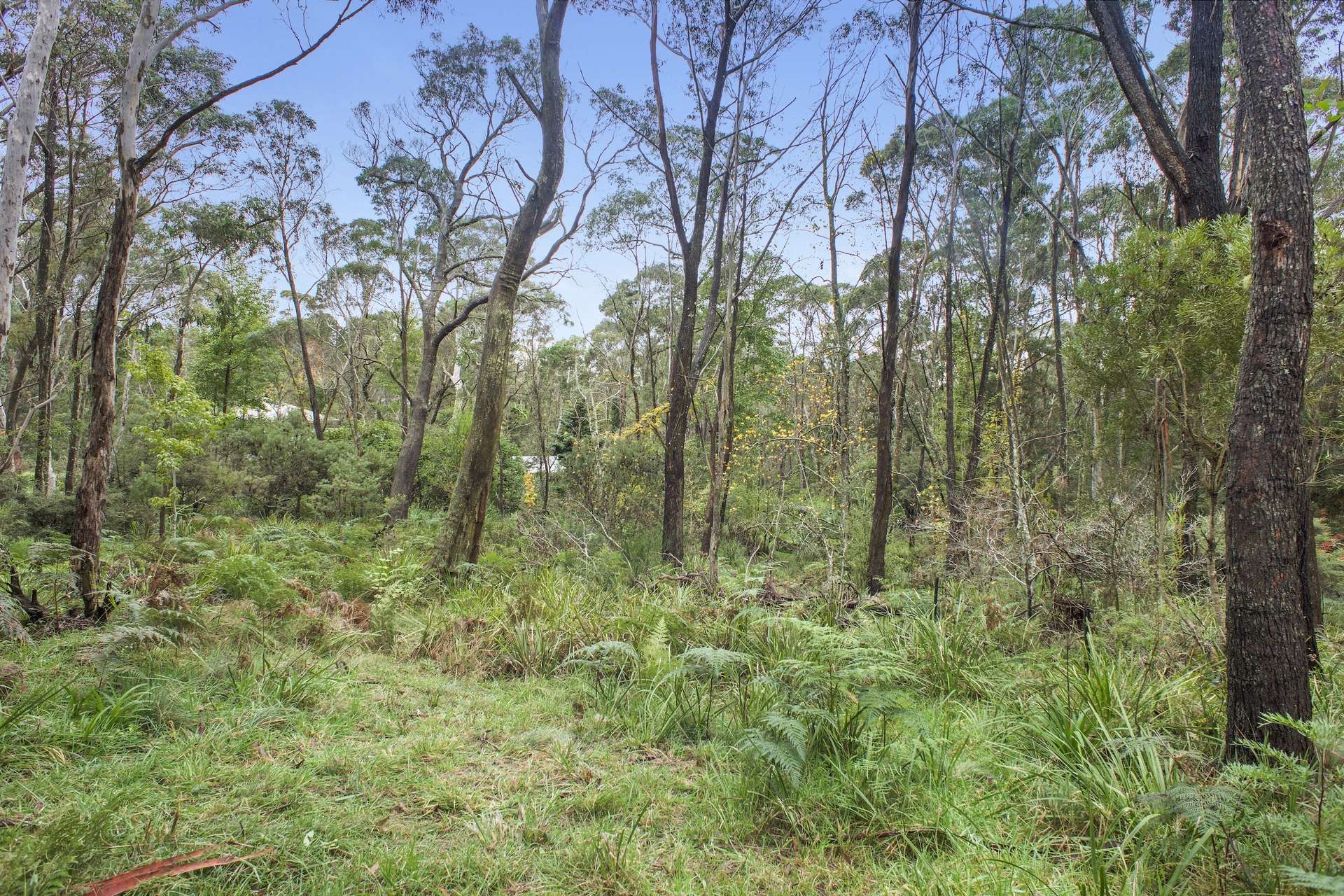 74 Railway Parade, Medlow Bath, NSW 2780 AUS