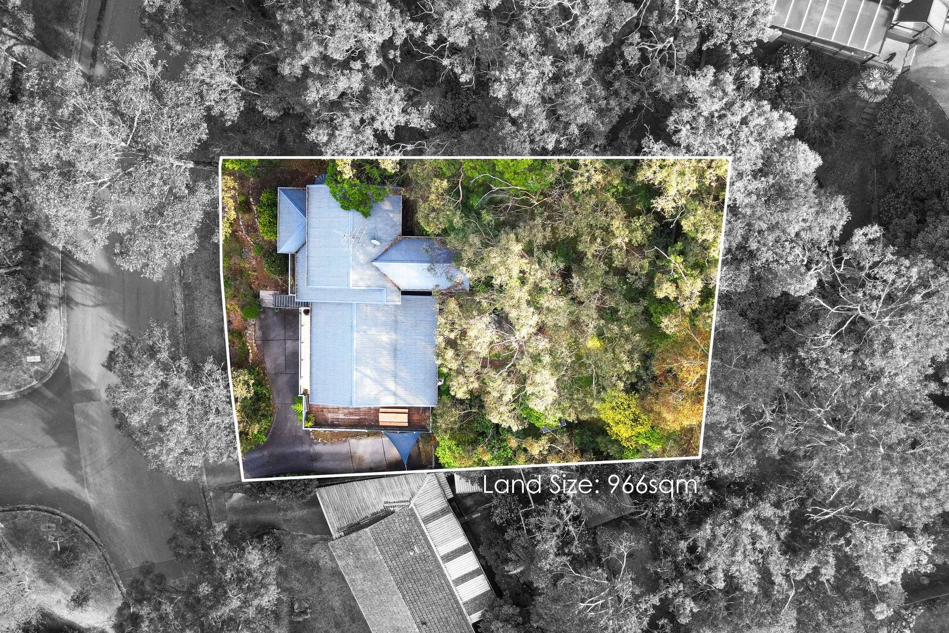 69 Pimelea Drive, Woodford, NSW 2778 AUS