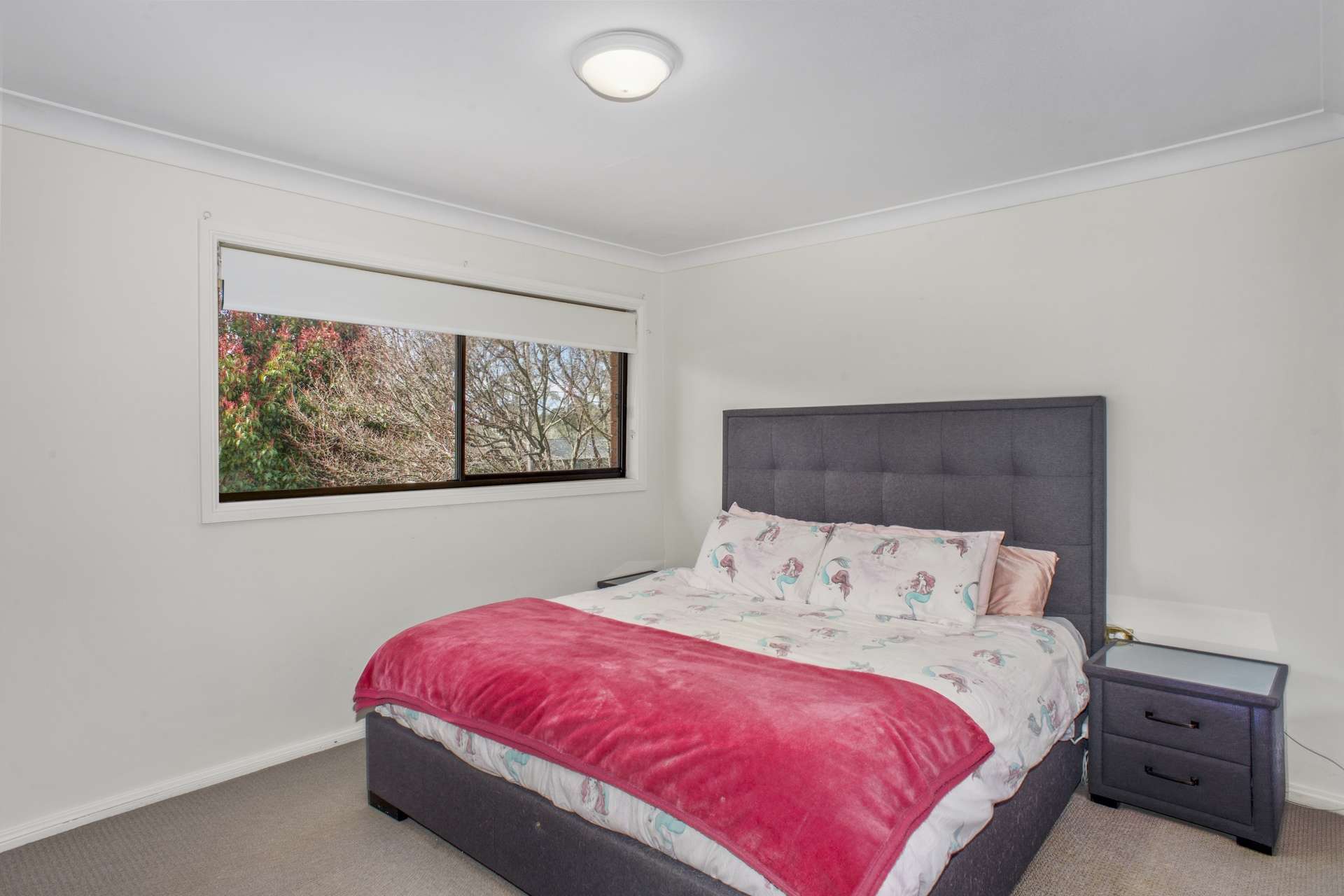 18 David Street, Wentworth Falls, NSW 2782 AUS