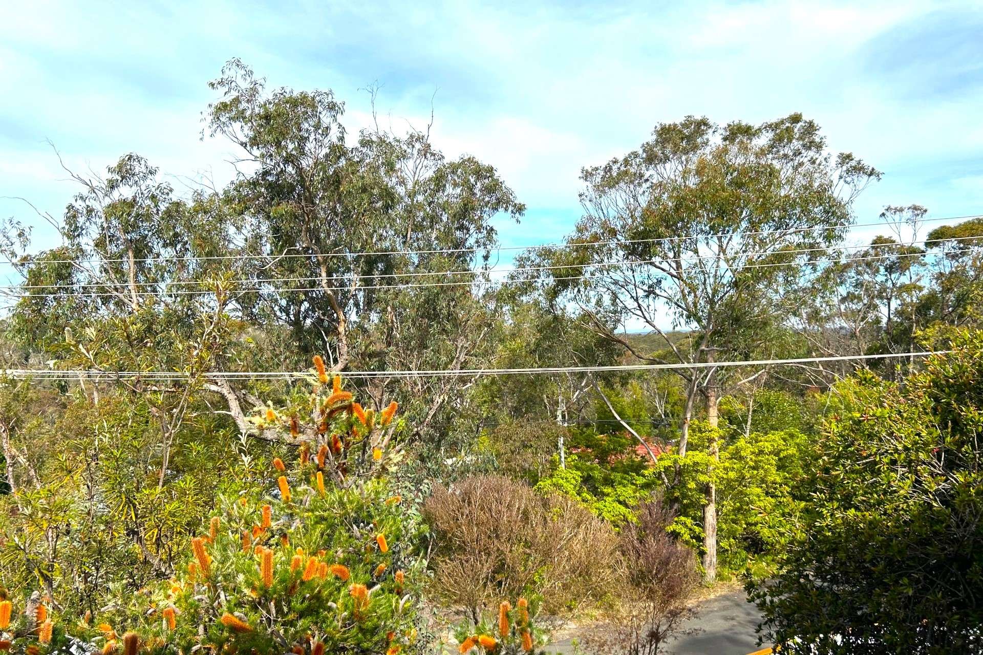 33 Reserve Avenue, Hazelbrook, NSW 2779 AUS