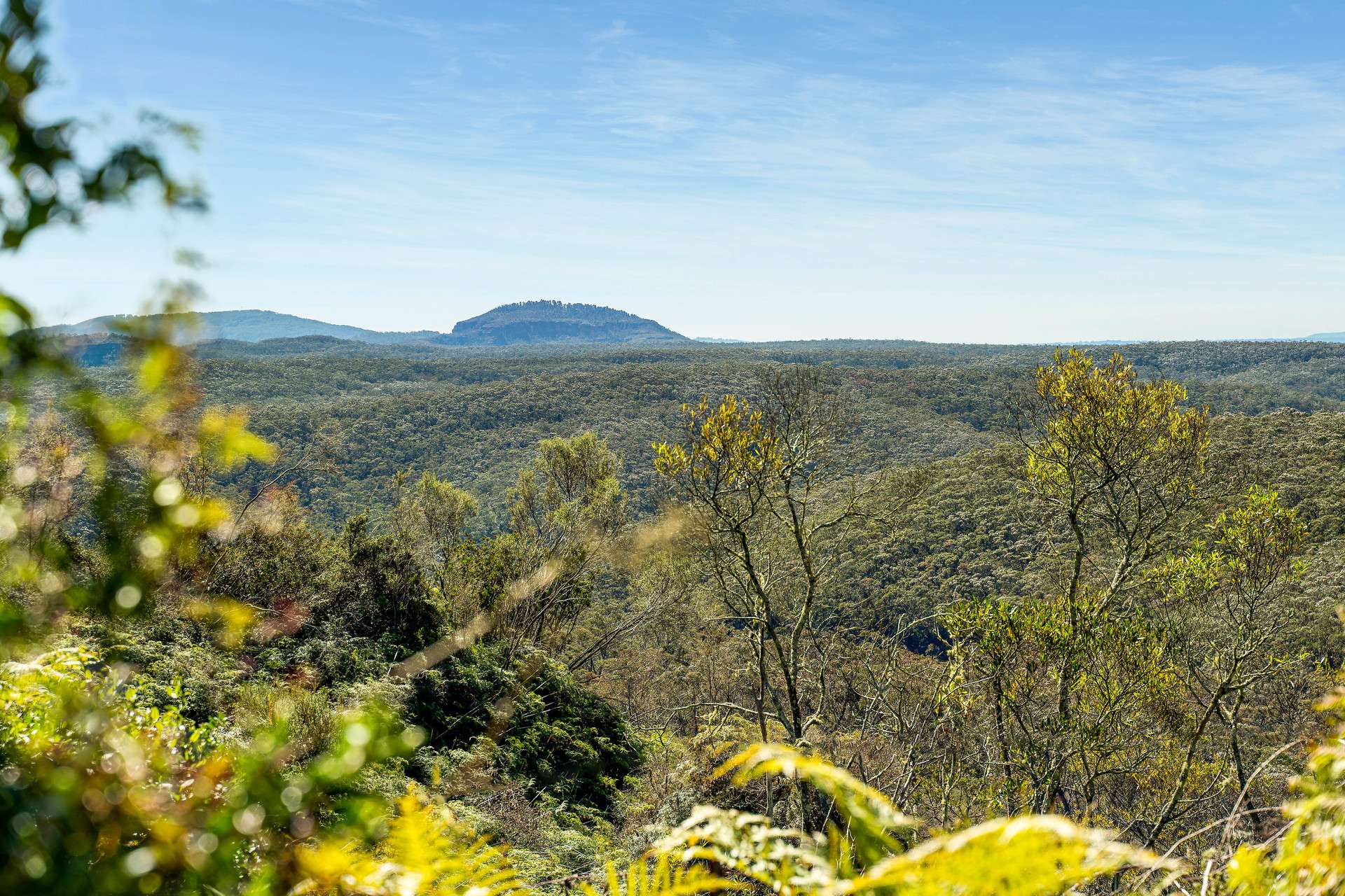 27 Yanko Avenue, Wentworth Falls, NSW 2782 AUS