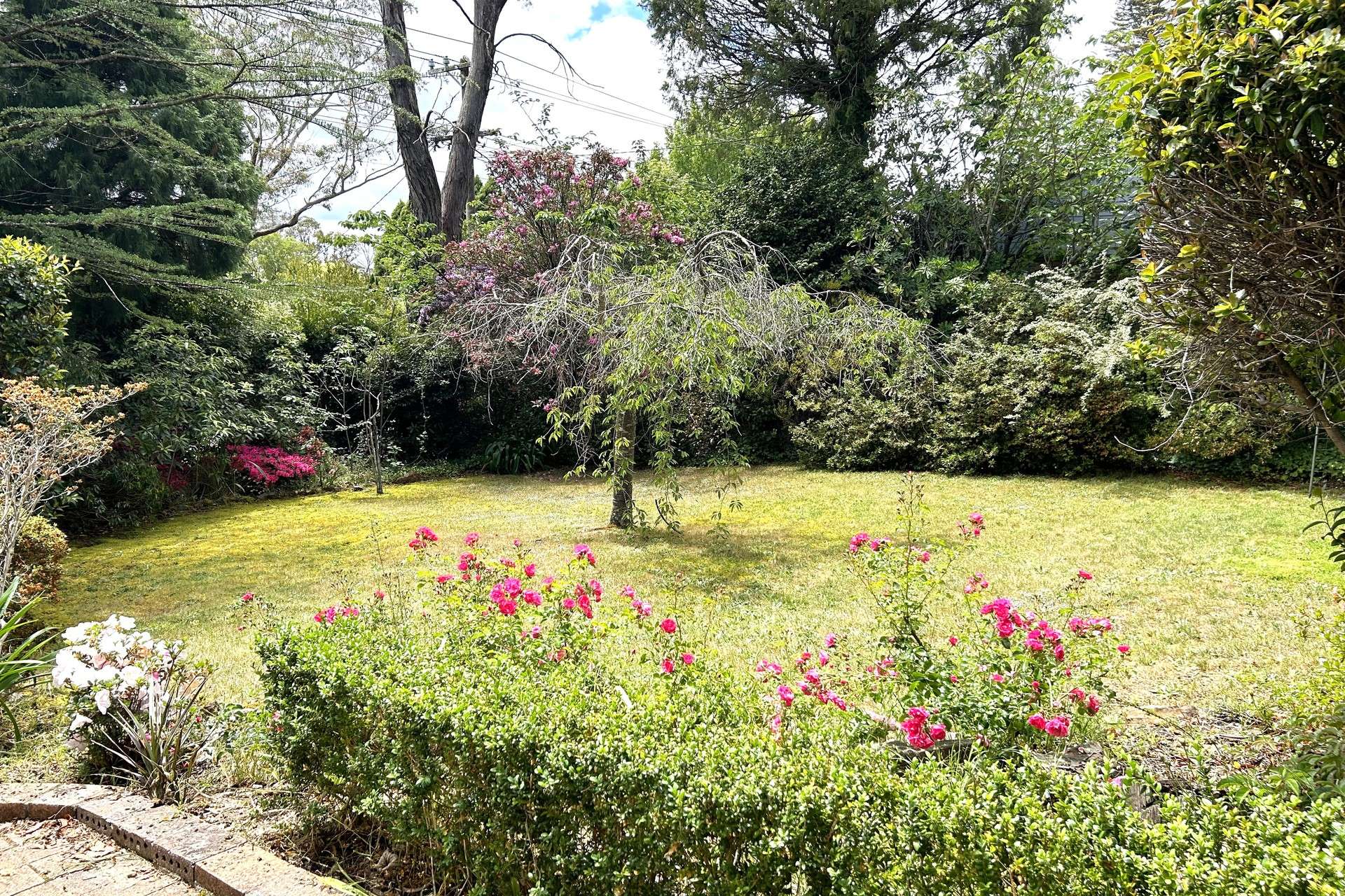 48 Yanko Avenue, Wentworth Falls, NSW 2782 AUS