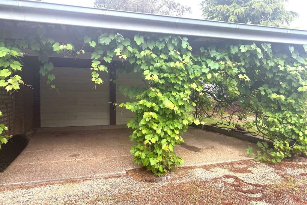 16 Mitchell Street, Wentworth Falls, NSW 2782 AUS