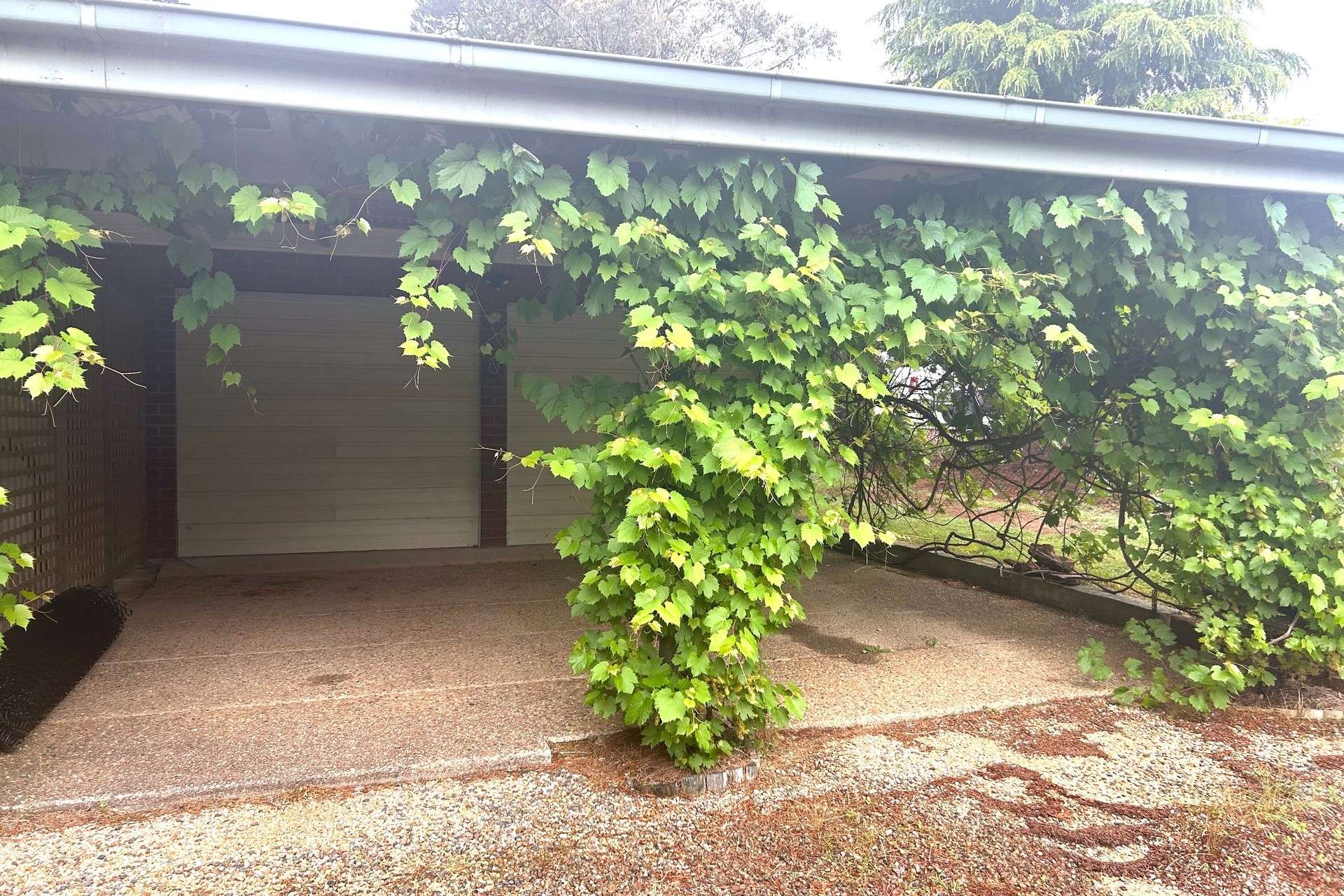 16 Mitchell Street, Wentworth Falls, NSW 2782 AUS