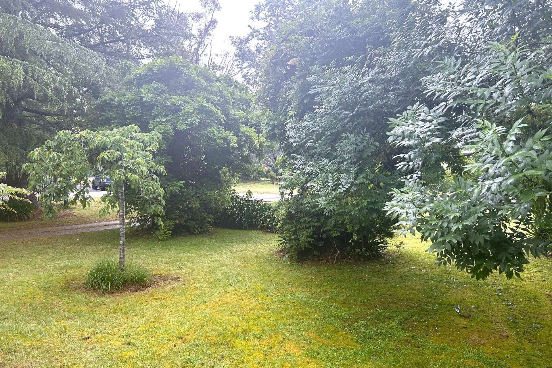 16 Mitchell Street, Wentworth Falls, NSW 2782 AUS