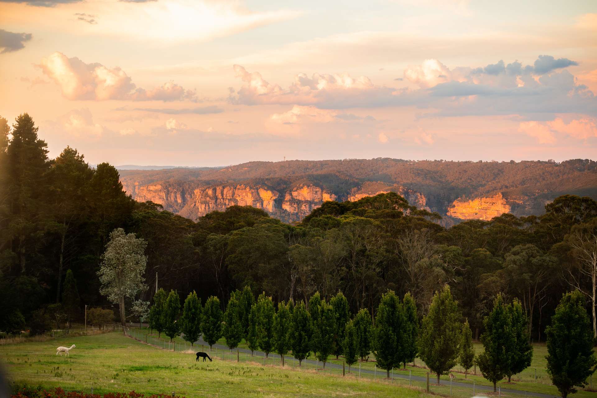 10-14 Mount Blackheath Road, Blackheath, NSW 2785 AUS
