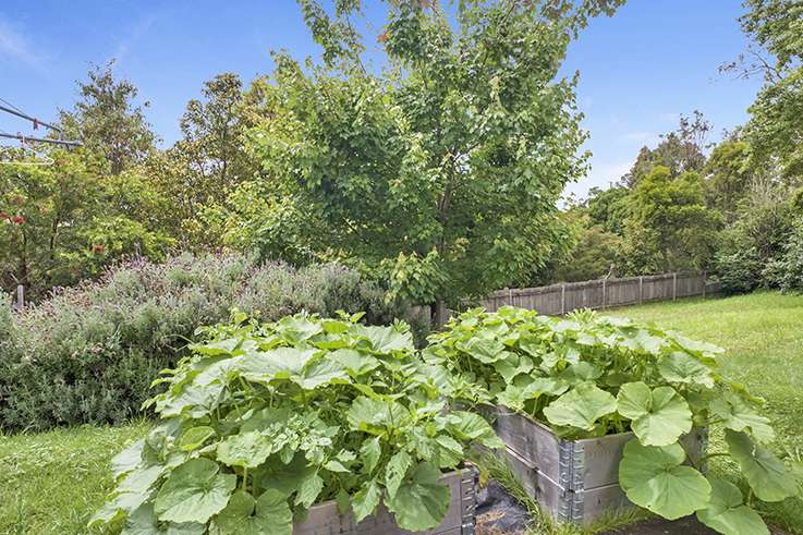 1/7 San Jose Avenue, Lawson, NSW 2783 AUS