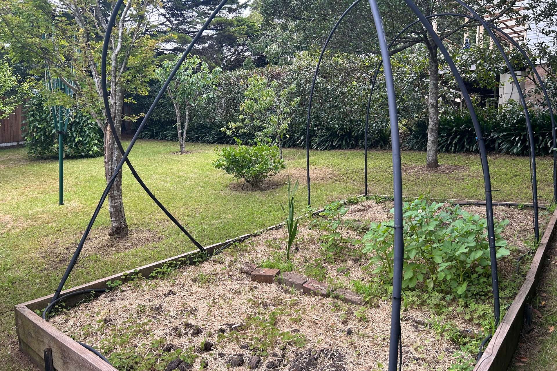 3 Dora Street, Katoomba, NSW 2780 AUS