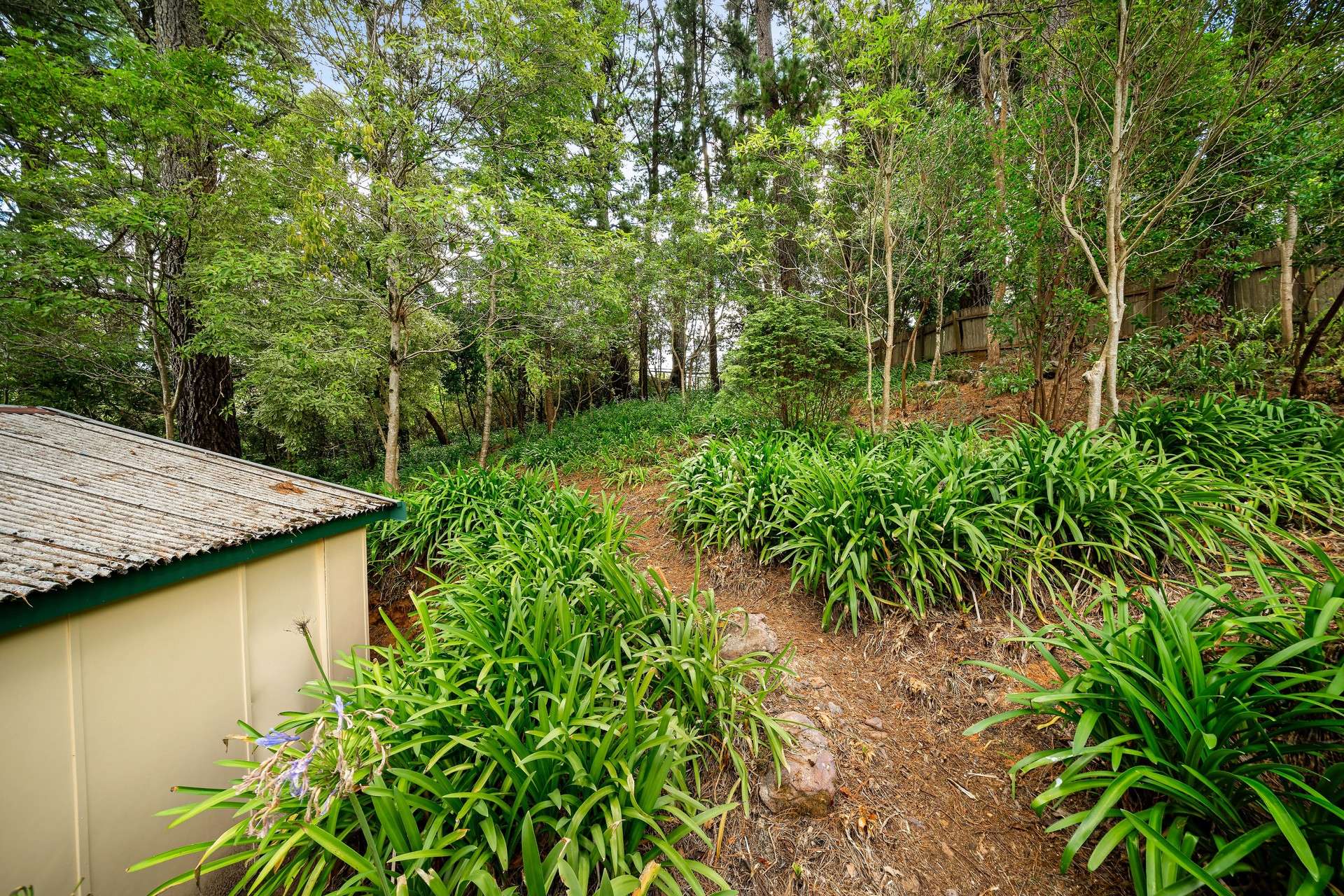 15 Holmes Street, Leura, NSW 2780 AUS