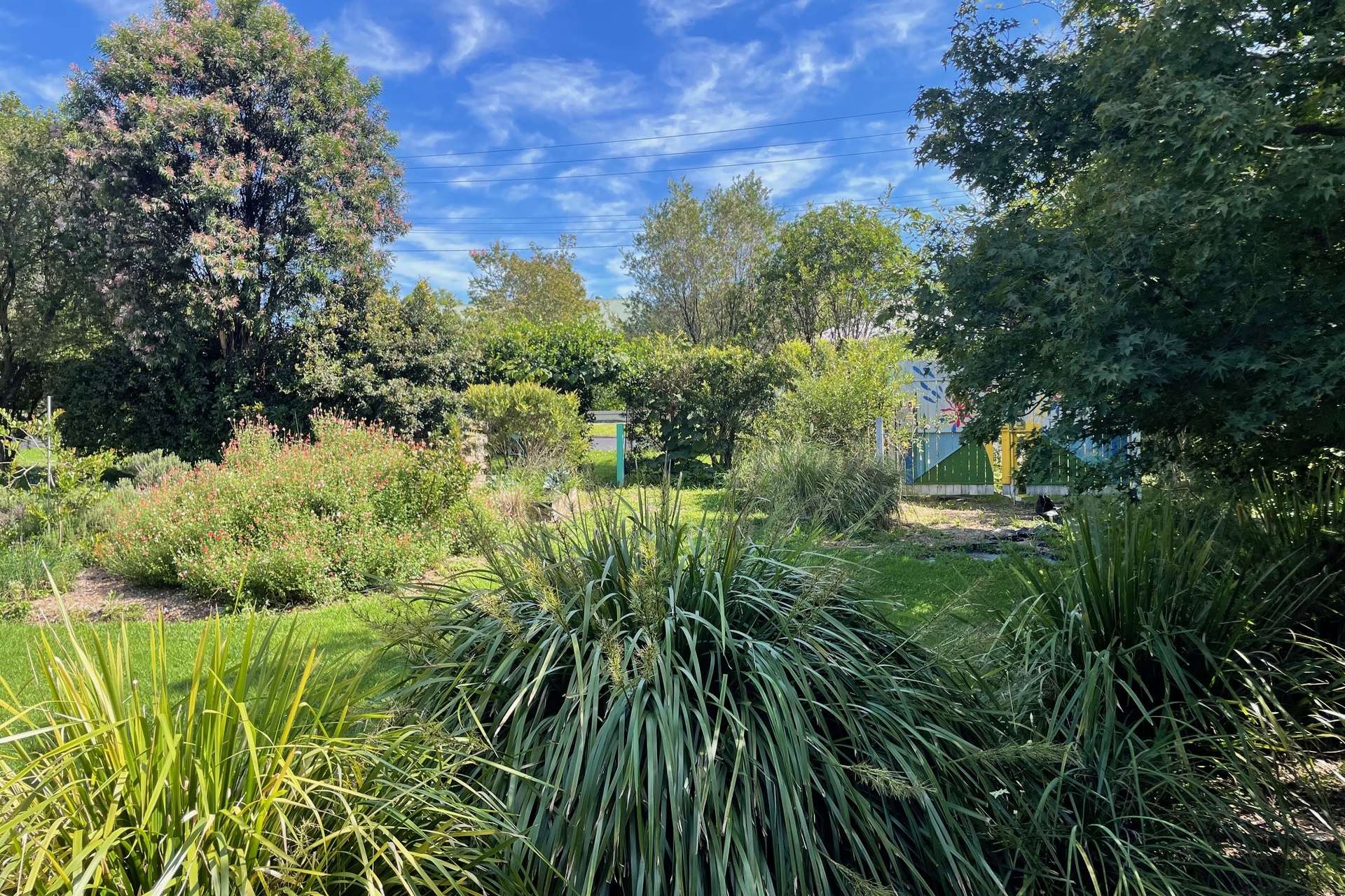 51 Plateau Road, Springwood, NSW 2777 AUS