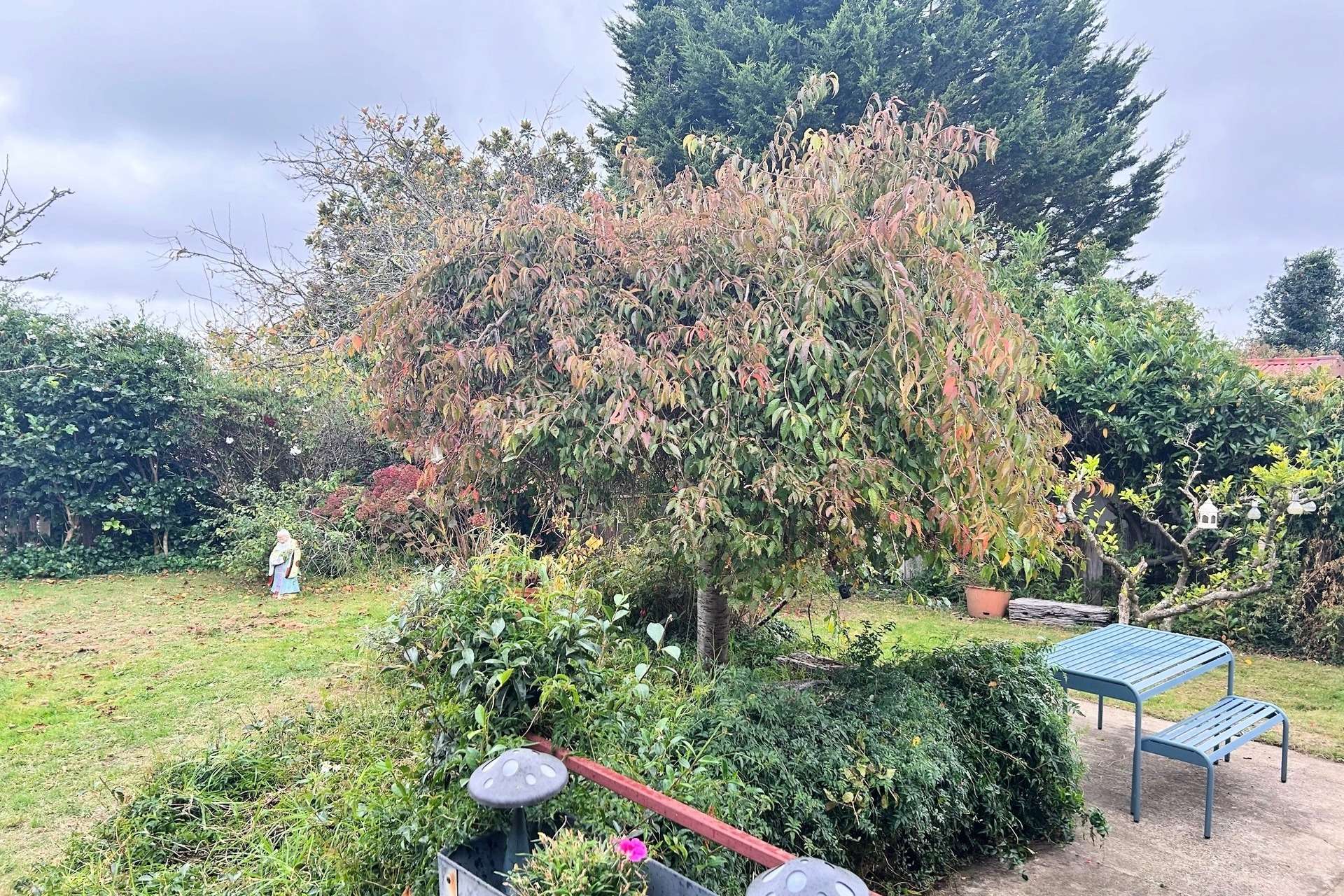 25 Walgett Street, Katoomba, NSW 2780 AUS