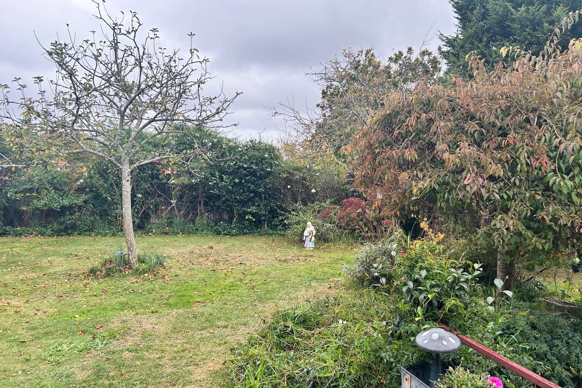 25 Walgett Street, Katoomba, NSW 2780 AUS