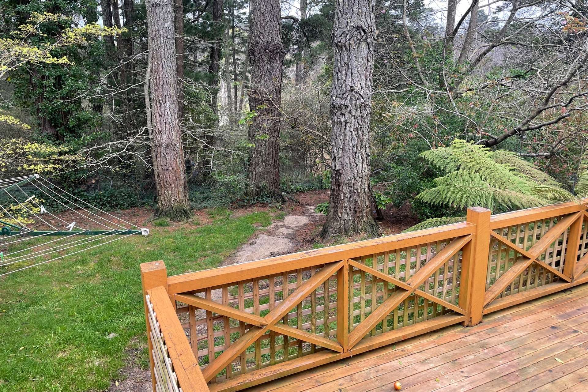 9 Backhouse Street, Wentworth Falls, NSW 2782 AUS