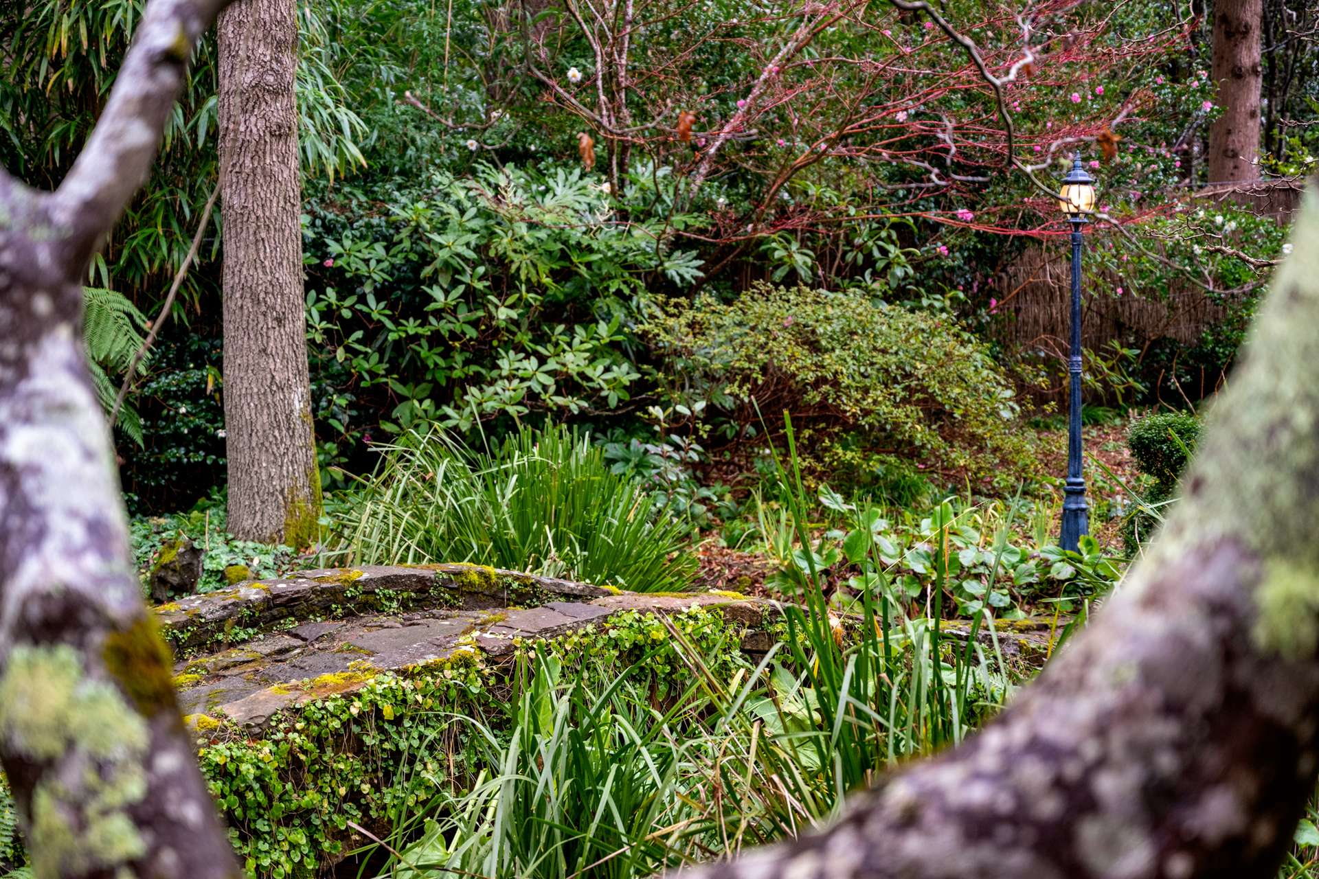 15 Blaxland Avenue, Leura, NSW 2780 AUS