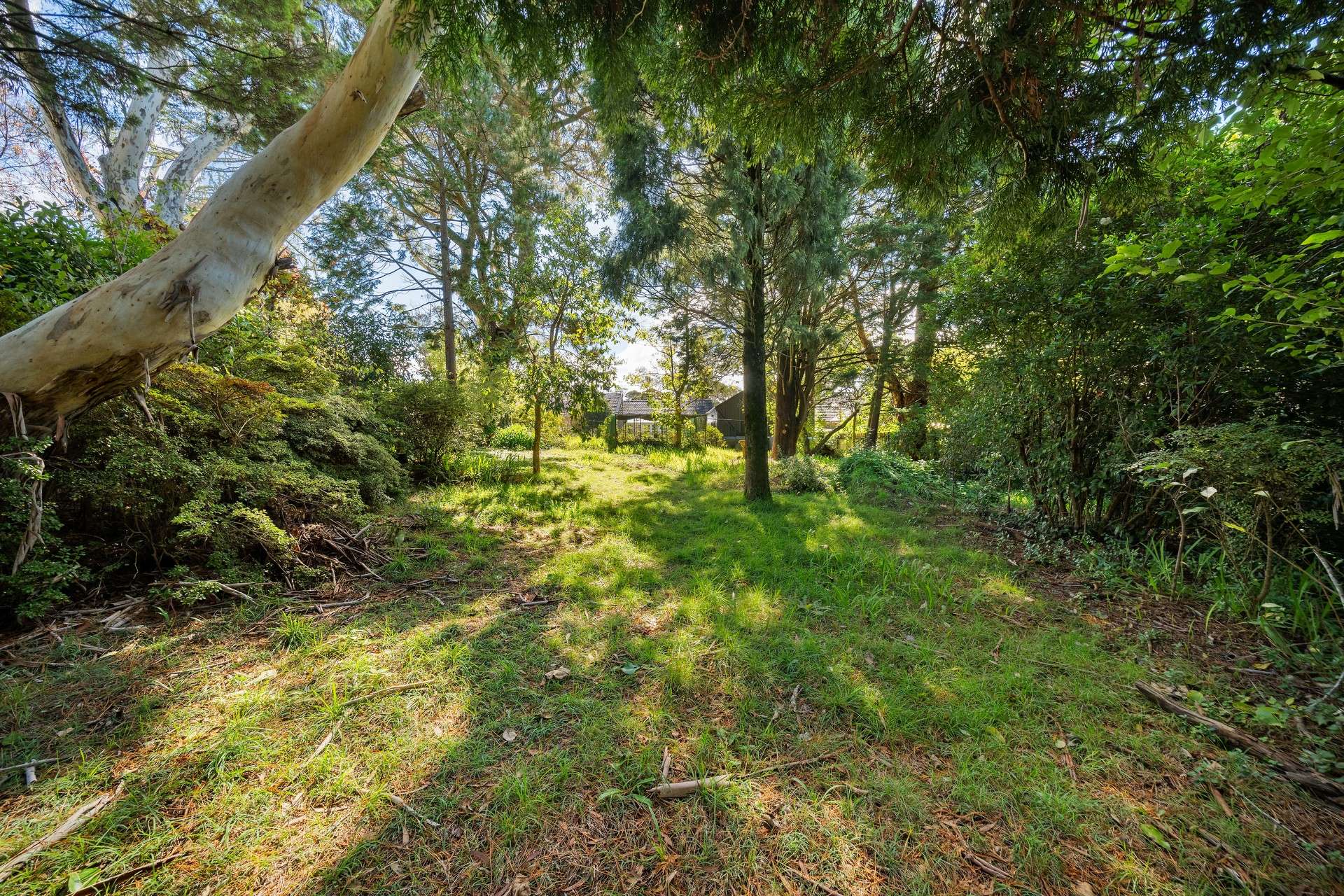 10 Evans Lookout Road, Blackheath, NSW 2785 AUS