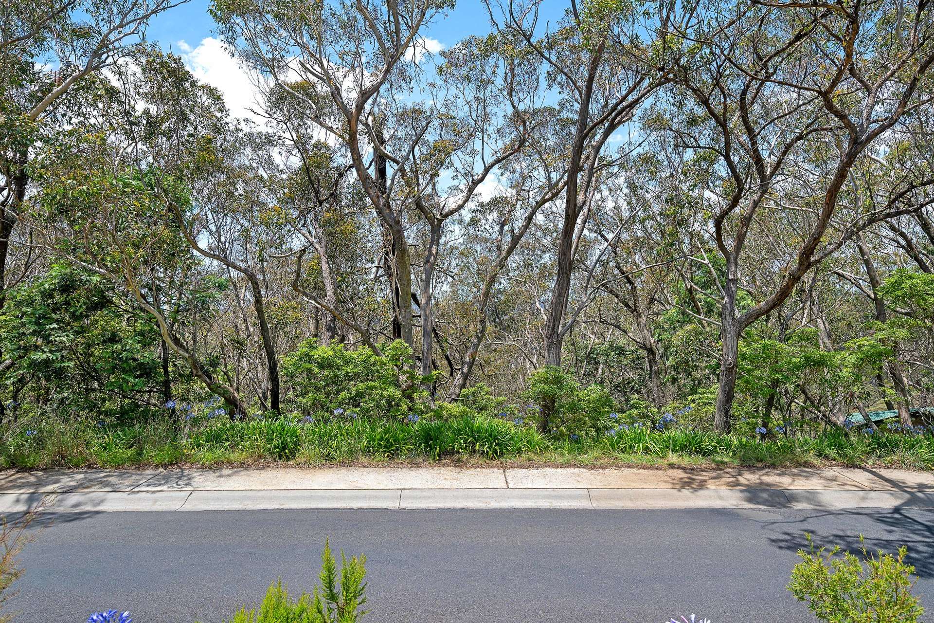 37-39 Henderson Road, Wentworth Falls, NSW 2782 AUS