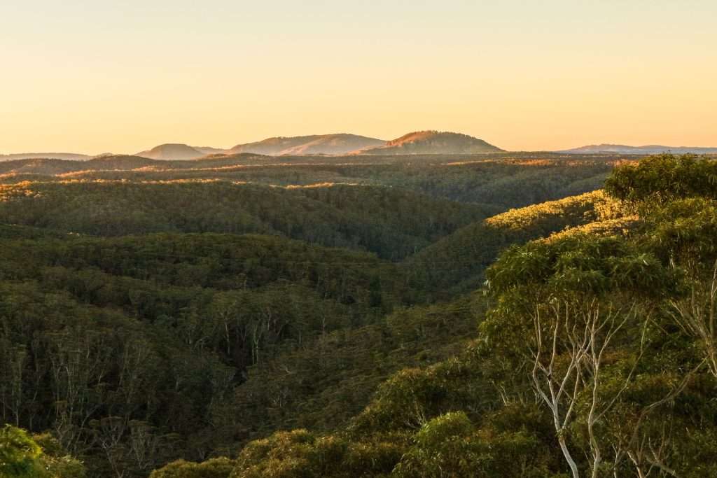 66-68 Henderson Road, Wentworth Falls, NSW 2782 AUS