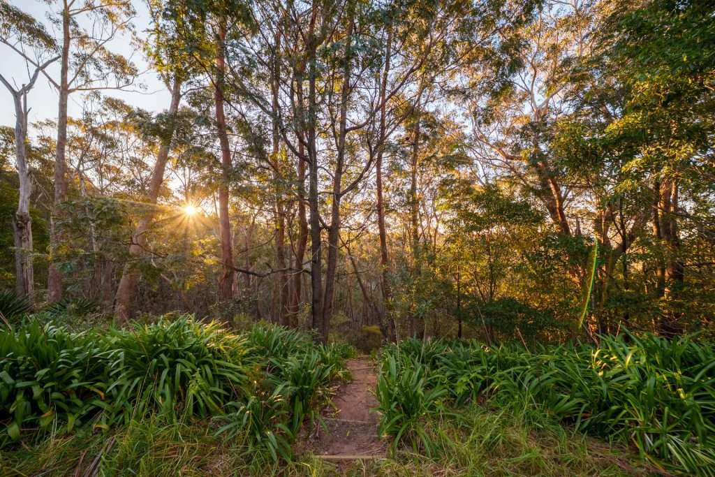 66-68 Henderson Road, Wentworth Falls, NSW 2782 AUS