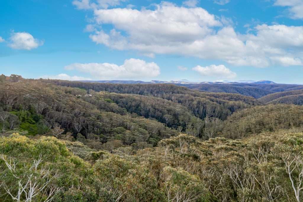 66-68 Henderson Road, Wentworth Falls, NSW 2782 AUS