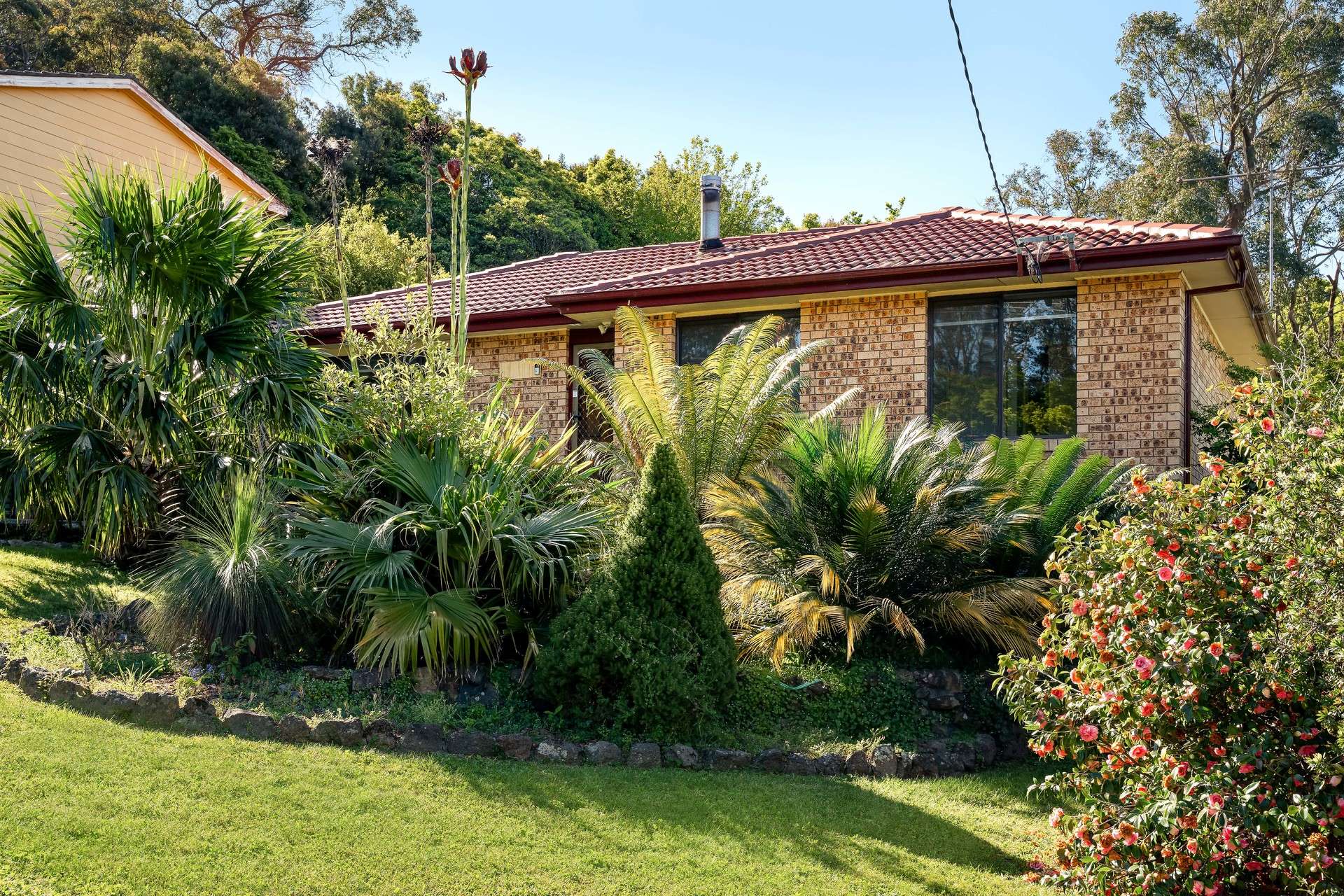 100 Hall Parade, Hazelbrook, NSW 2779 AUS