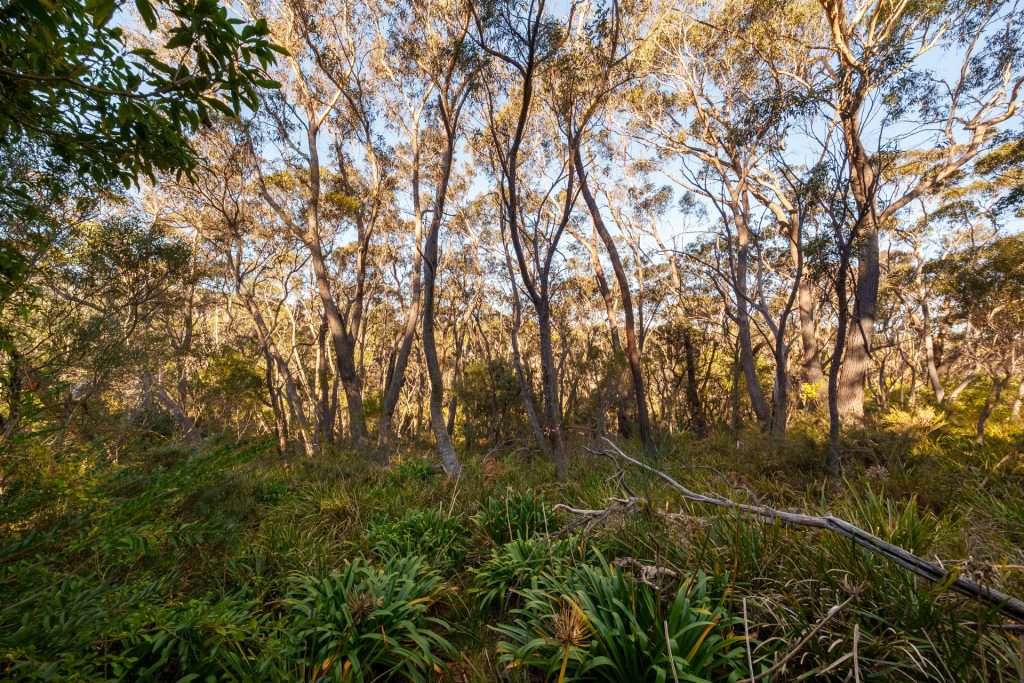 63-69 Kanimbla Street, Leura, NSW 2780 AUS