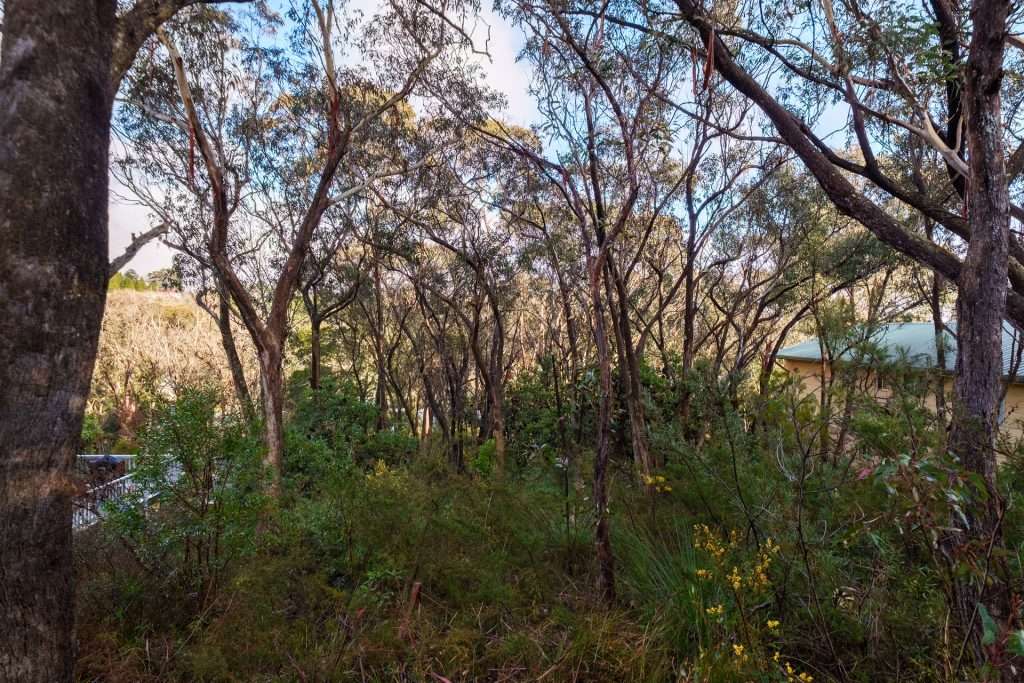 57 Leura Mall, Leura, NSW 2780 AUS