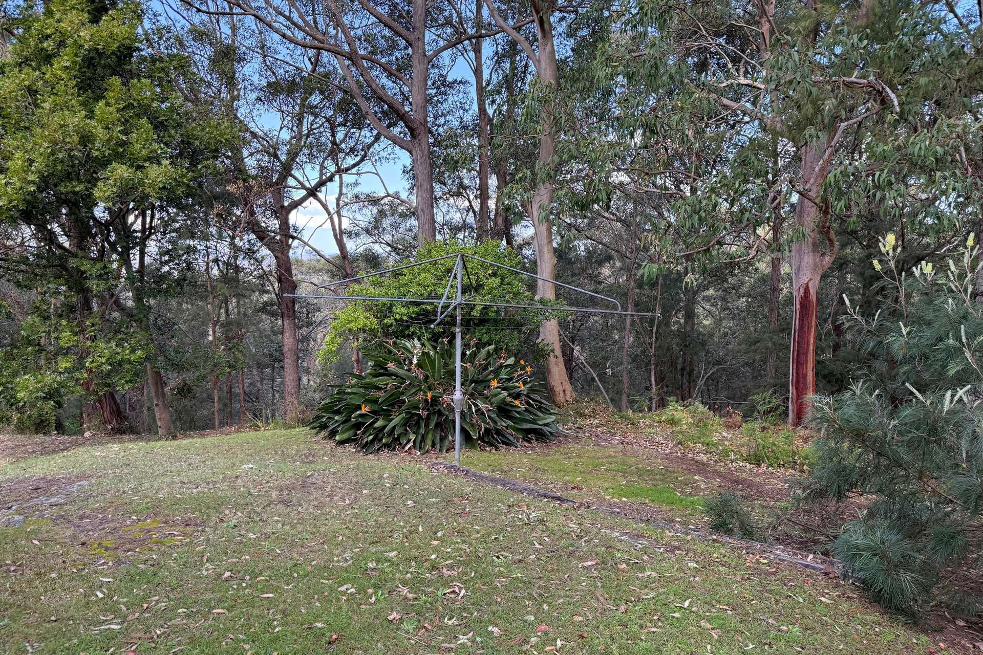 12 Riverview Crescent, Mount Riverview, NSW 2774 AUS