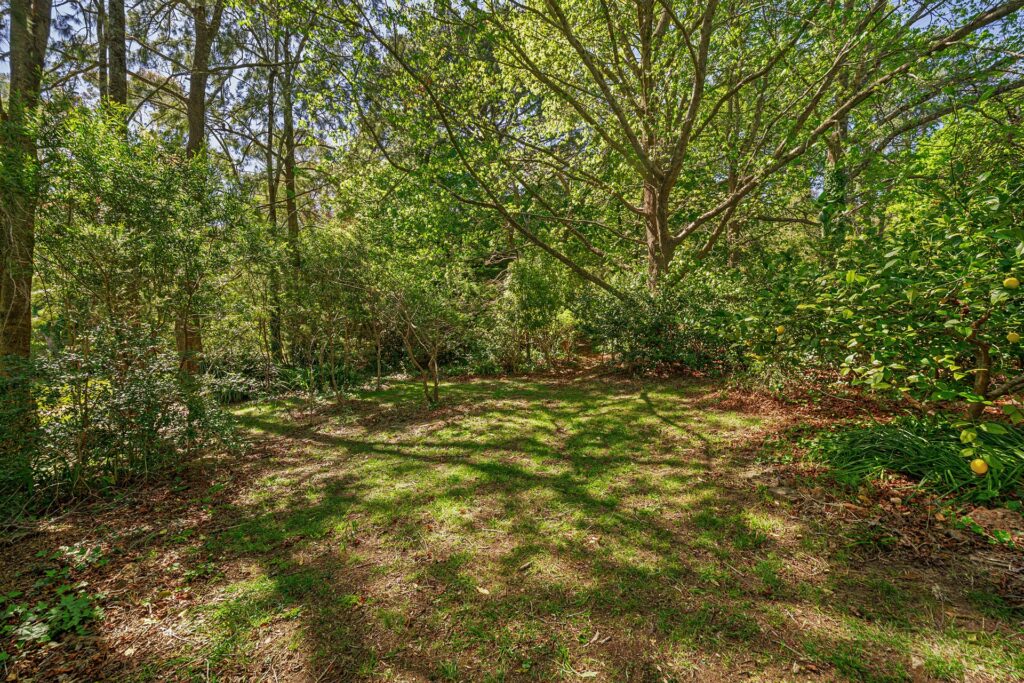 31 Highland Street, Leura - Thumbnail 8