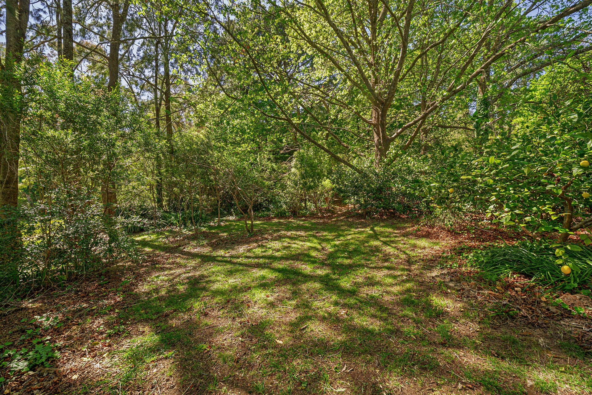 31 Highland Street, Leura, NSW 2780 AUS