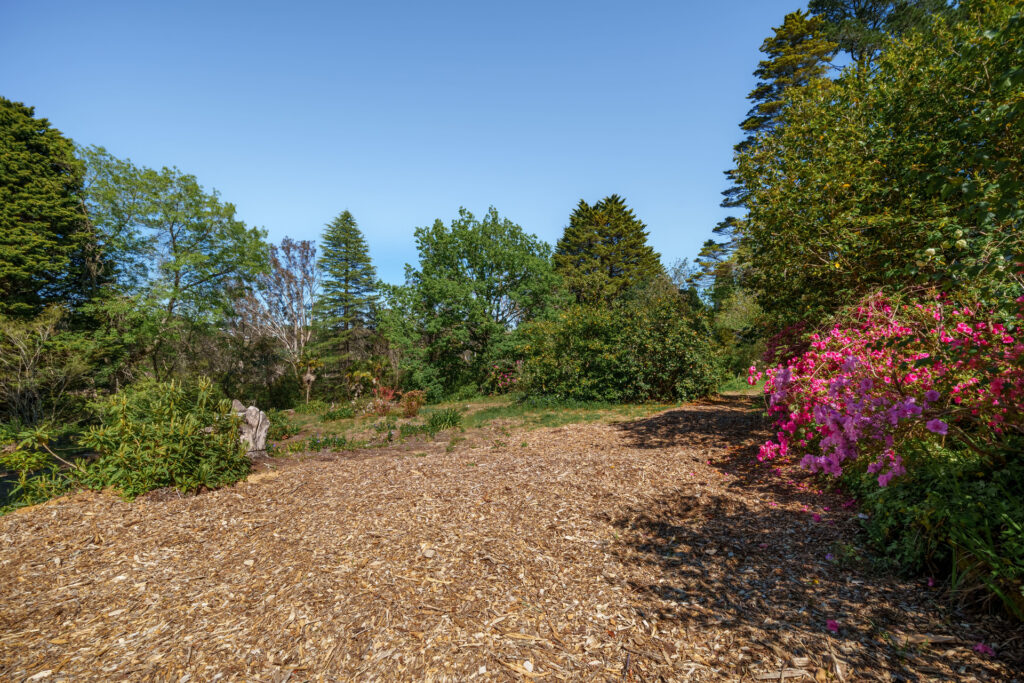 1 Apanie Lane, Wentworth Falls, NSW 2782 AUS