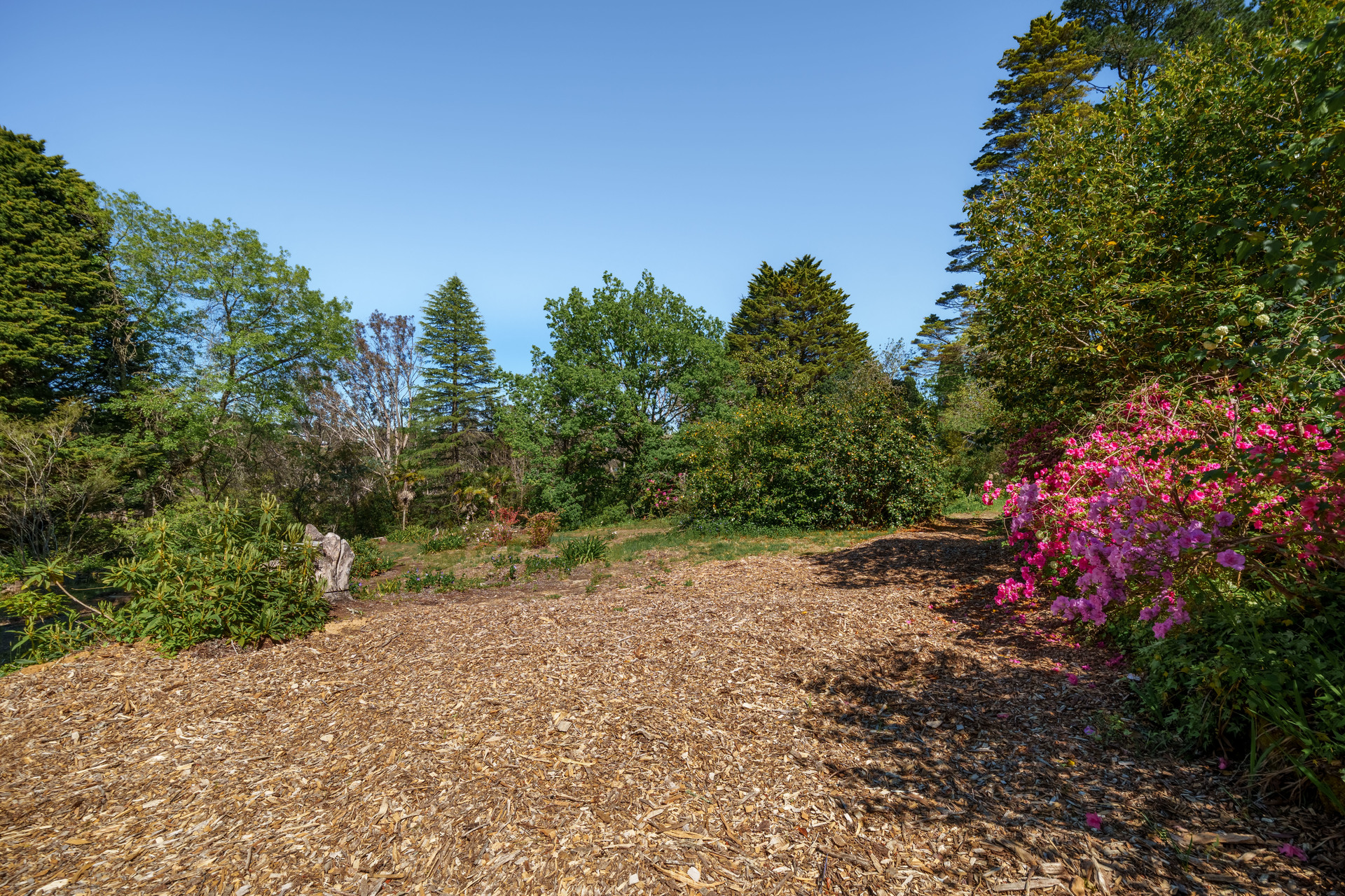 1 Apanie Lane, Wentworth Falls, NSW 2782 AUS