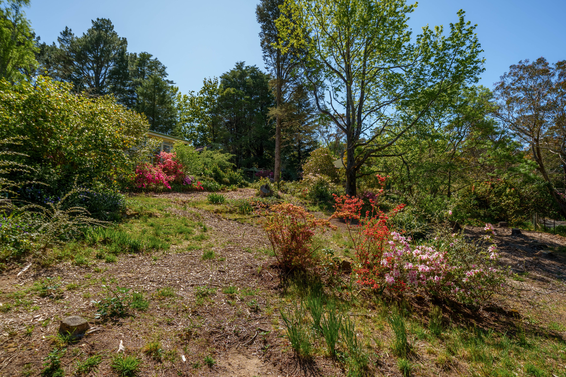 1 Apanie Lane, Wentworth Falls, NSW 2782 AUS