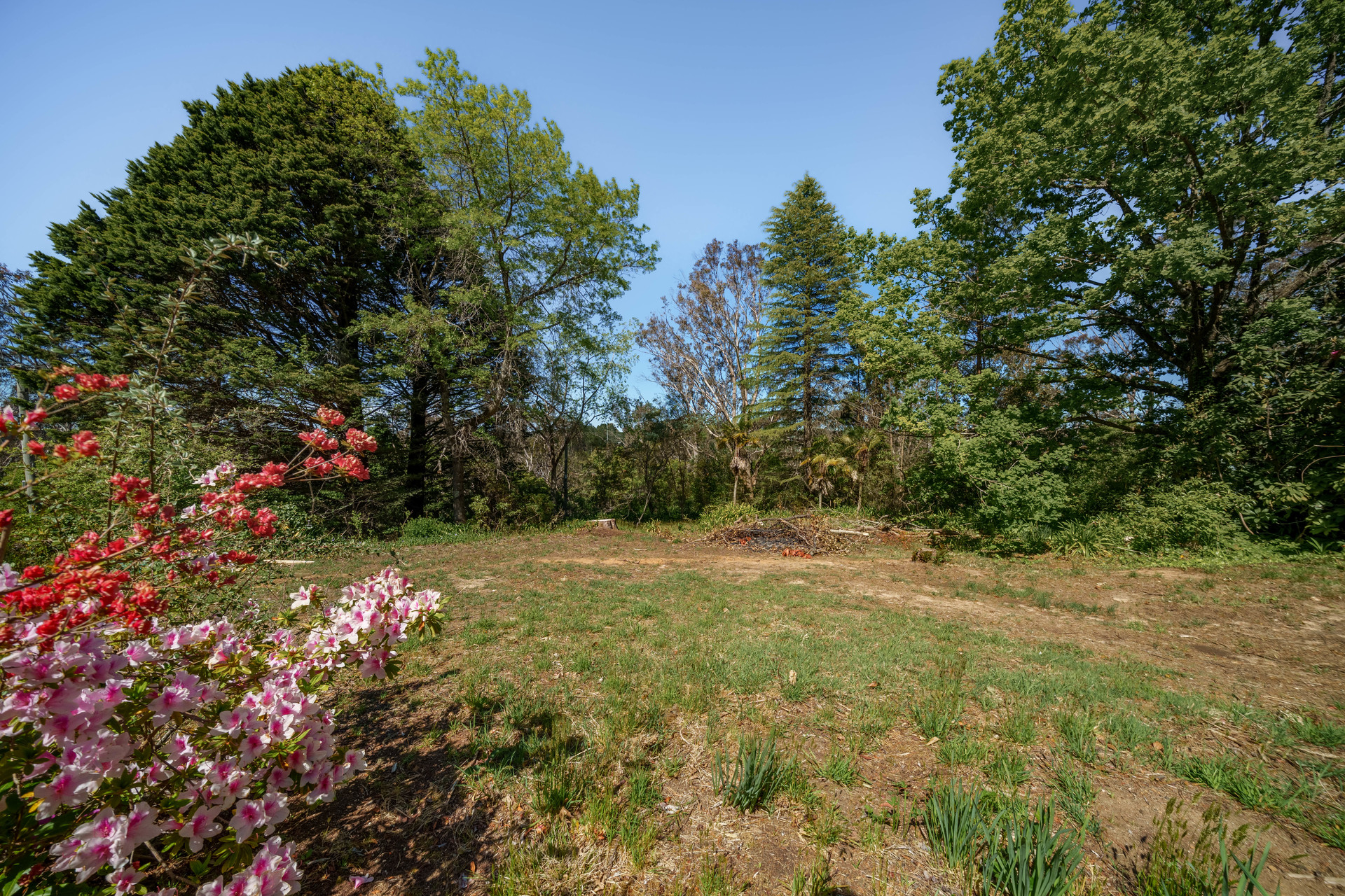 1 Apanie Lane, Wentworth Falls, NSW 2782 AUS