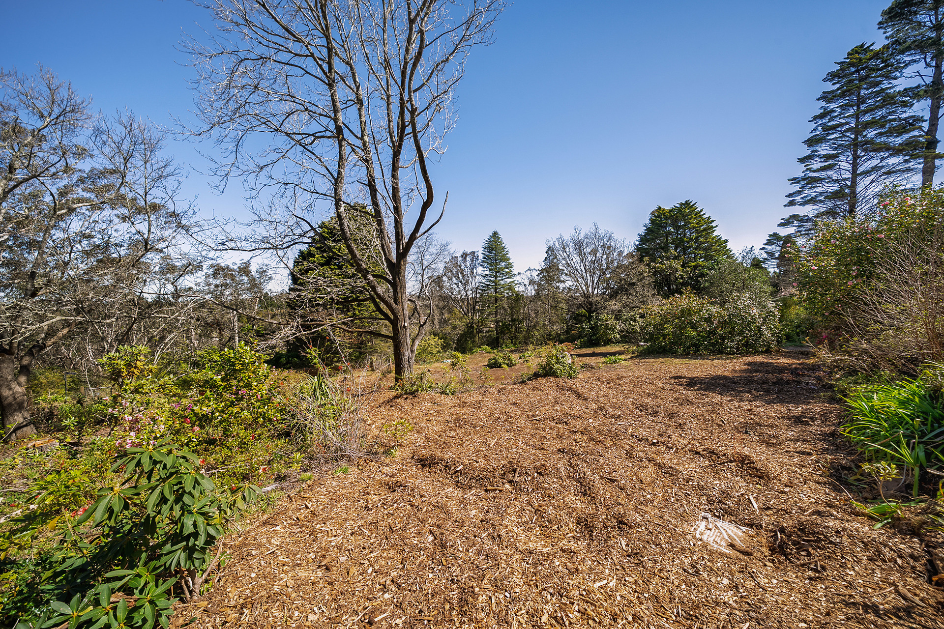 1 Apanie Lane, Wentworth Falls, NSW 2782 AUS