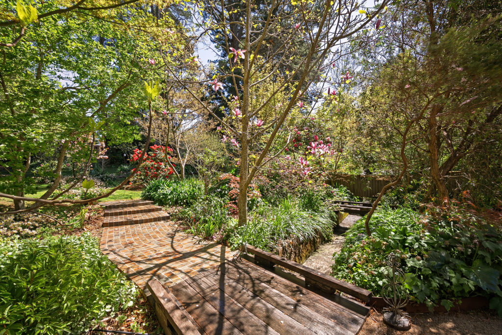 21 Abbey Street, Leura - Thumbnail 6