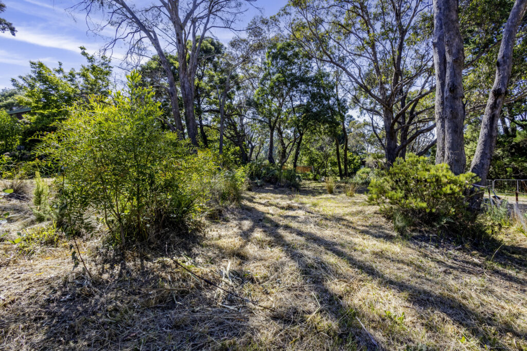 22 Kennedy Street, Blackheath, NSW 2785 AUS