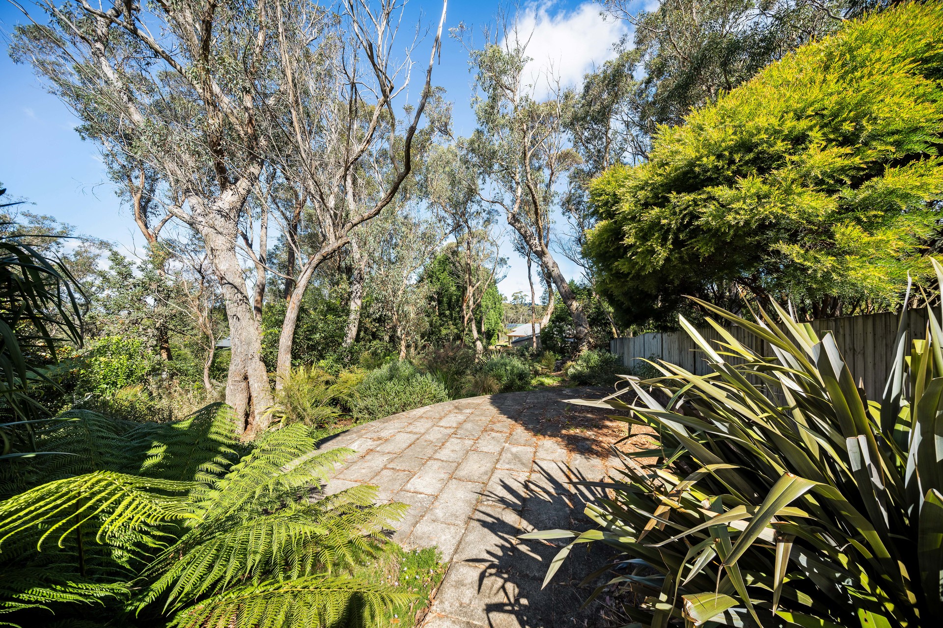 109 Henderson Road, Wentworth Falls, NSW 2782 AUS