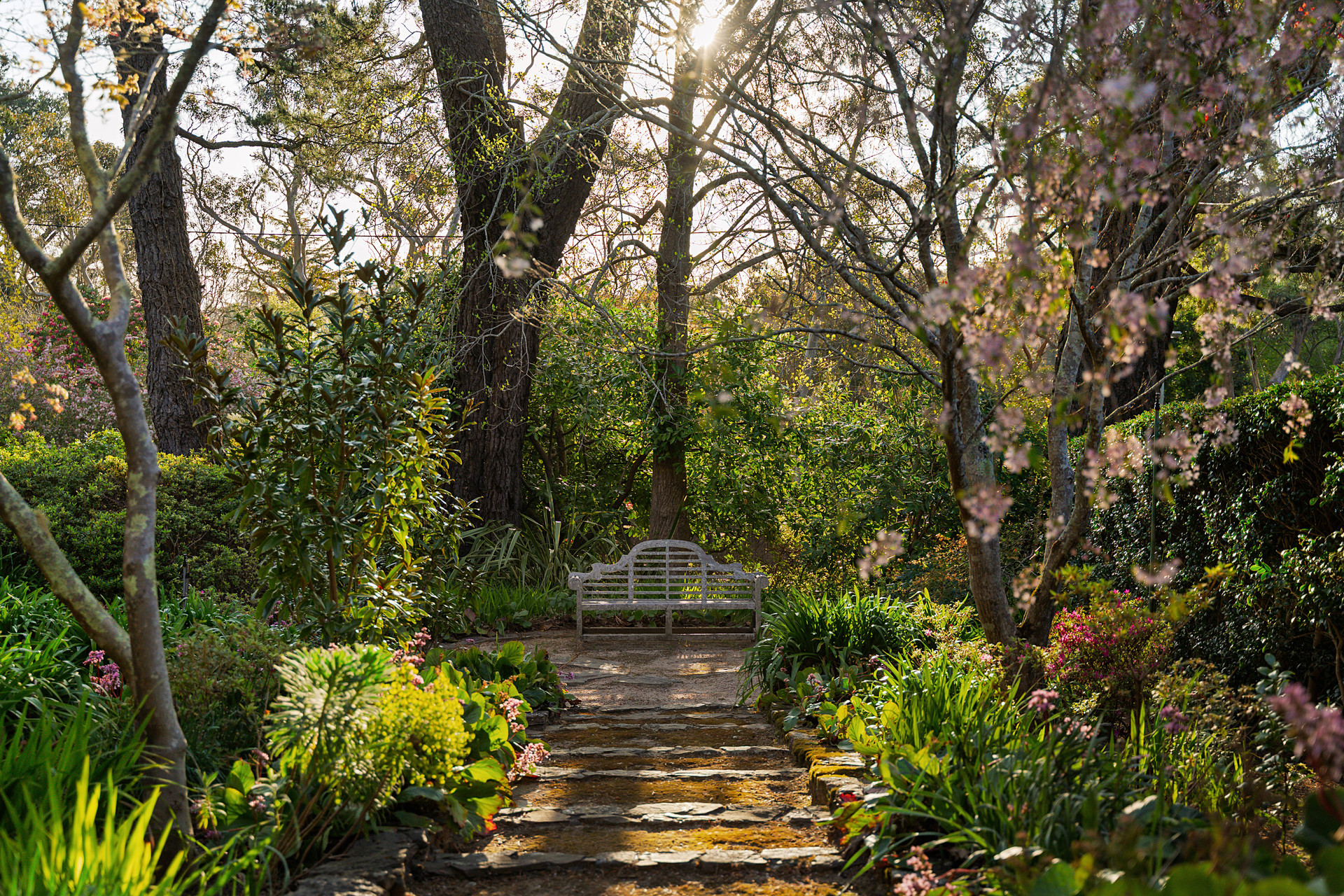 2 Kensett Avenue, Leura, NSW 2780 AUS