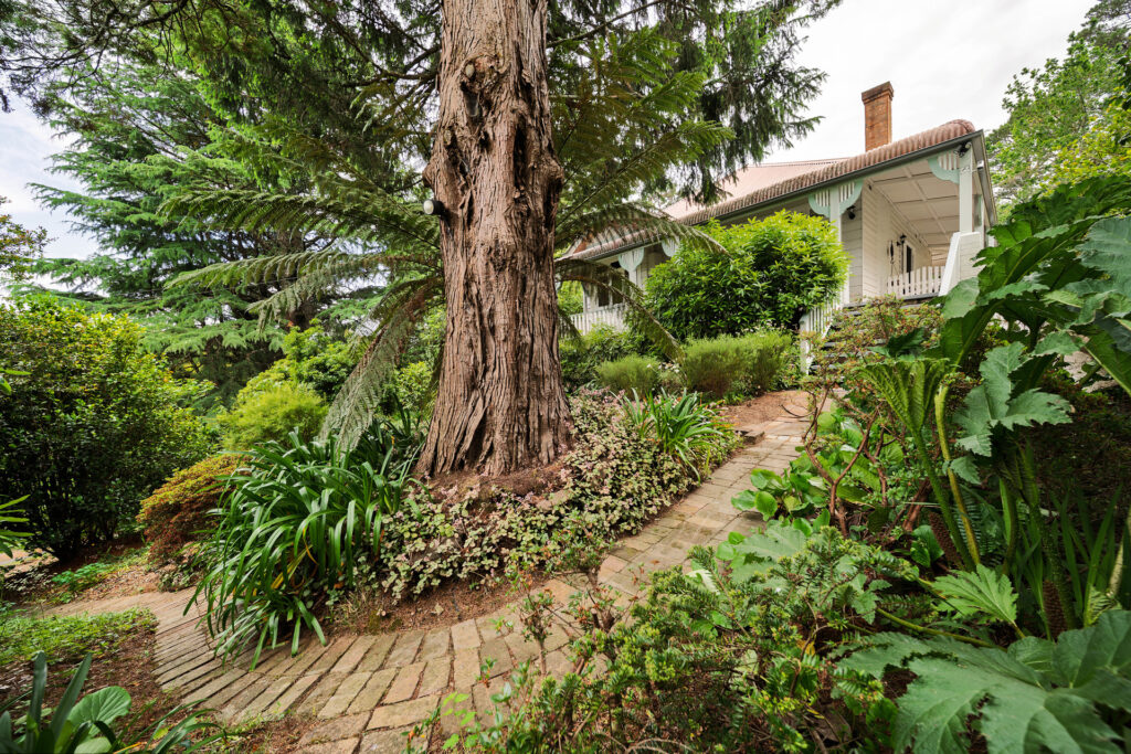 41 Camp Street, Katoomba - Thumbnail 8