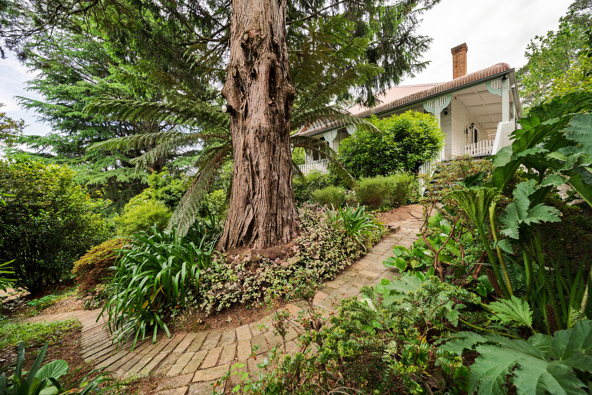 41 Camp Street, Katoomba, NSW 2780 AUS