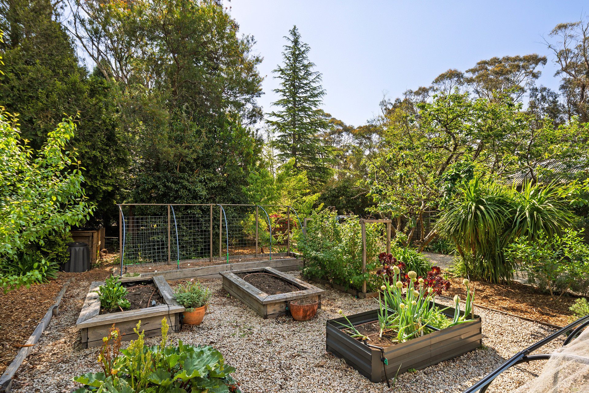 98 Sublime Point Road, Leura, NSW 2780 AUS