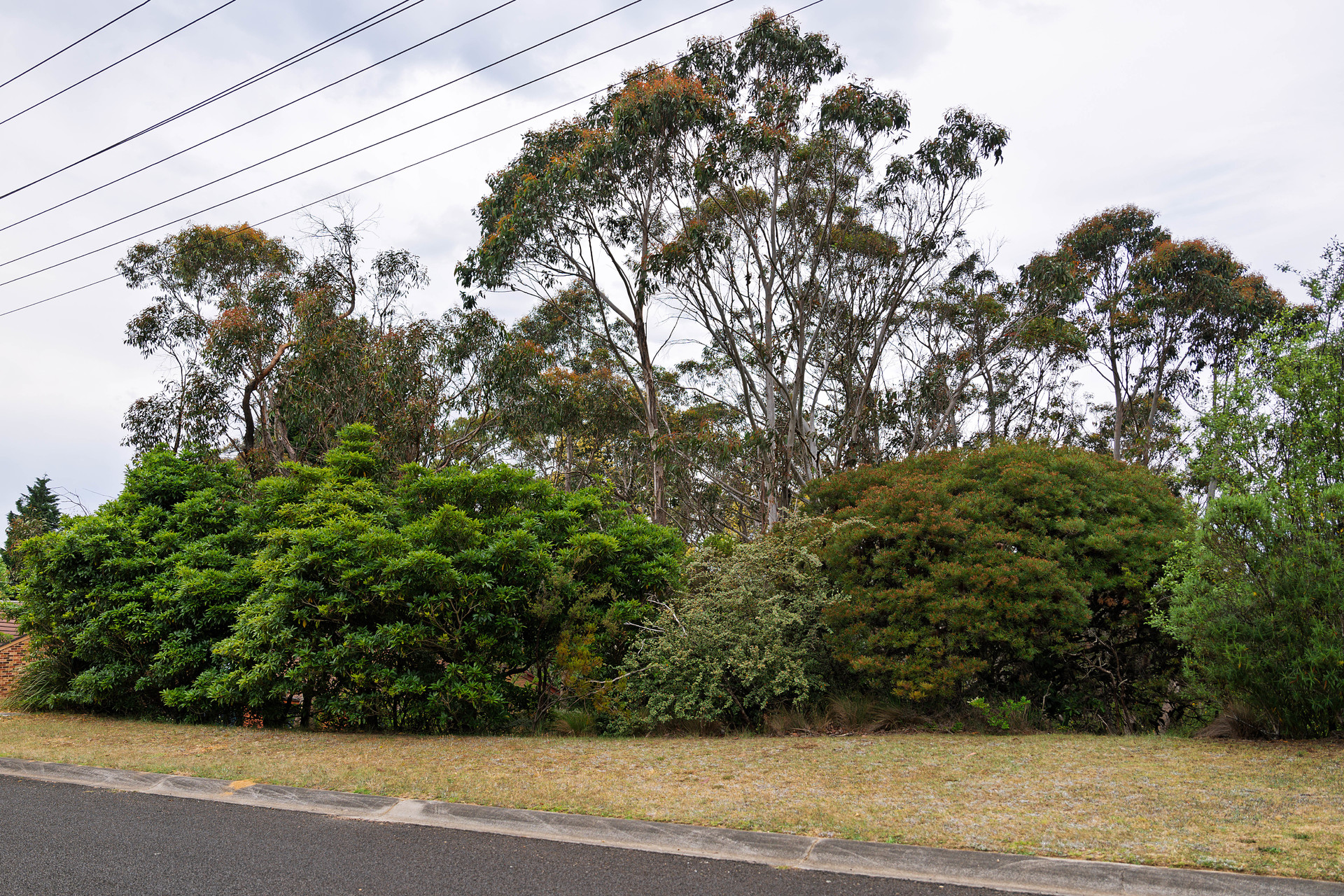 20 Bass Road, Wentworth Falls, NSW 2782 AUS
