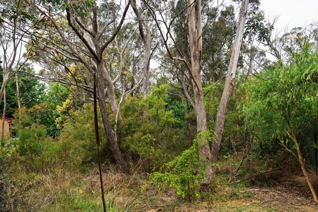 20 Bass Road, Wentworth Falls, NSW 2782 AUS