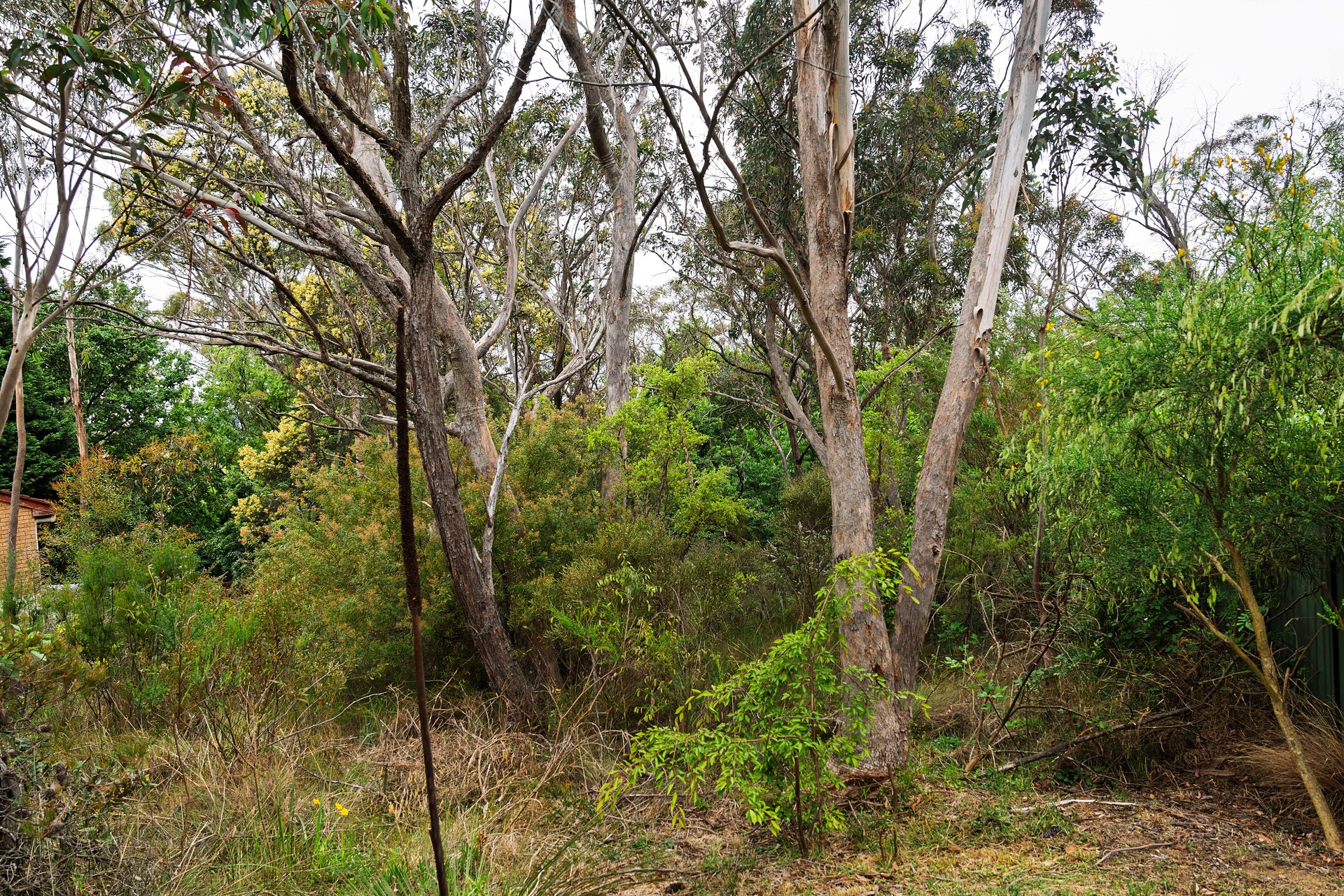 20 Bass Road, Wentworth Falls, NSW 2782 AUS