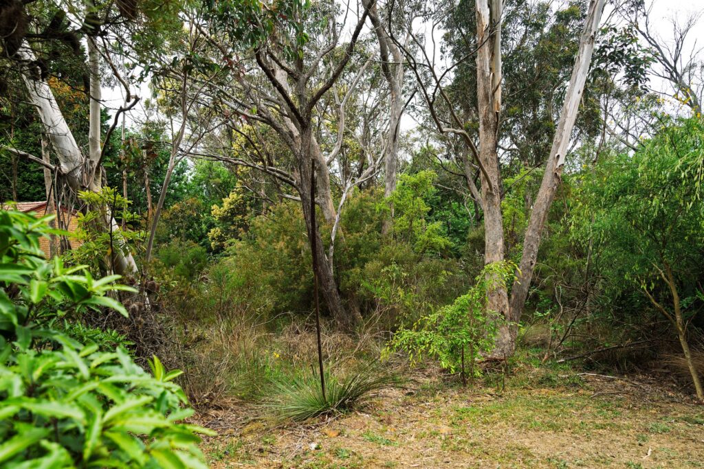 20 Bass Road, Wentworth Falls, NSW 2782 AUS