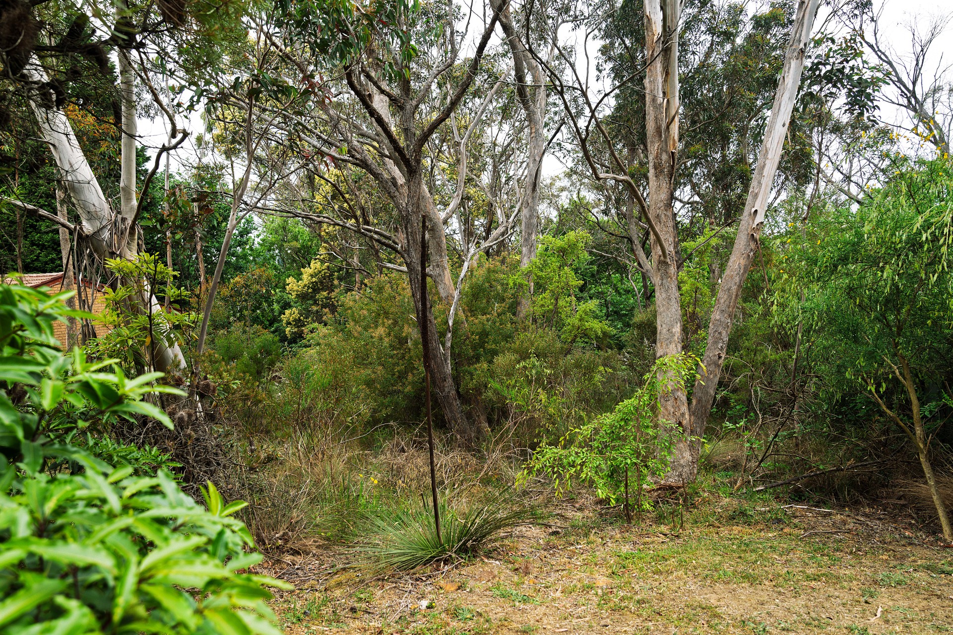 20 Bass Road, Wentworth Falls, NSW 2782 AUS