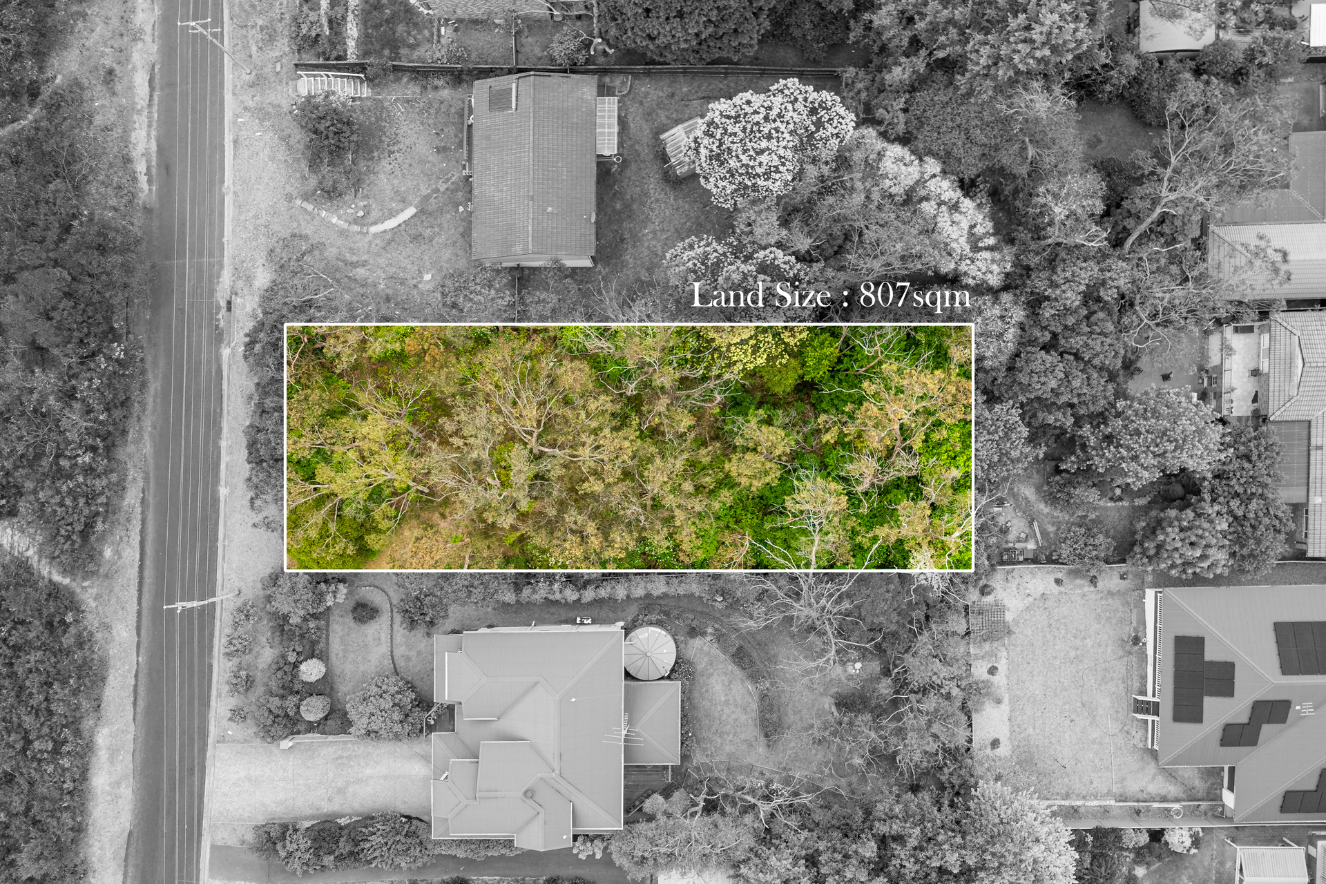 20 Bass Road, Wentworth Falls, NSW 2782 AUS